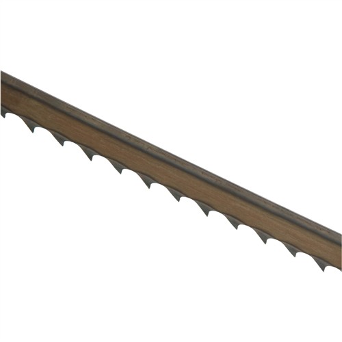 Image for T25031