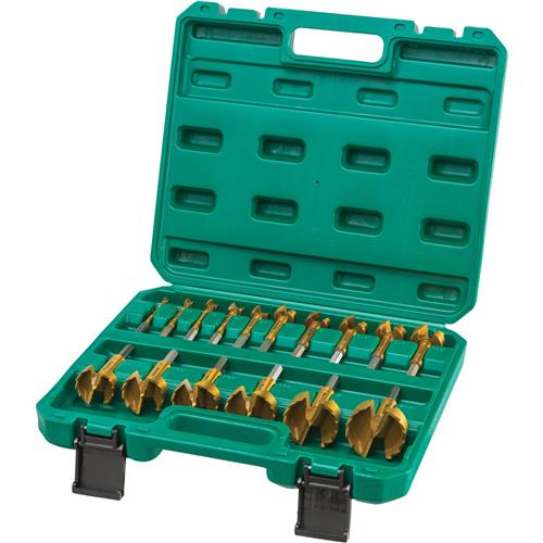 Image for Grizzly PRO T33695 - Titanium Coated Hex Shank Forstner Bit Set, 16 Pc. 1/4" - 2-1/8"